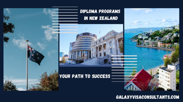 Leading Diploma Programs in New Zealand: Your Path to Success